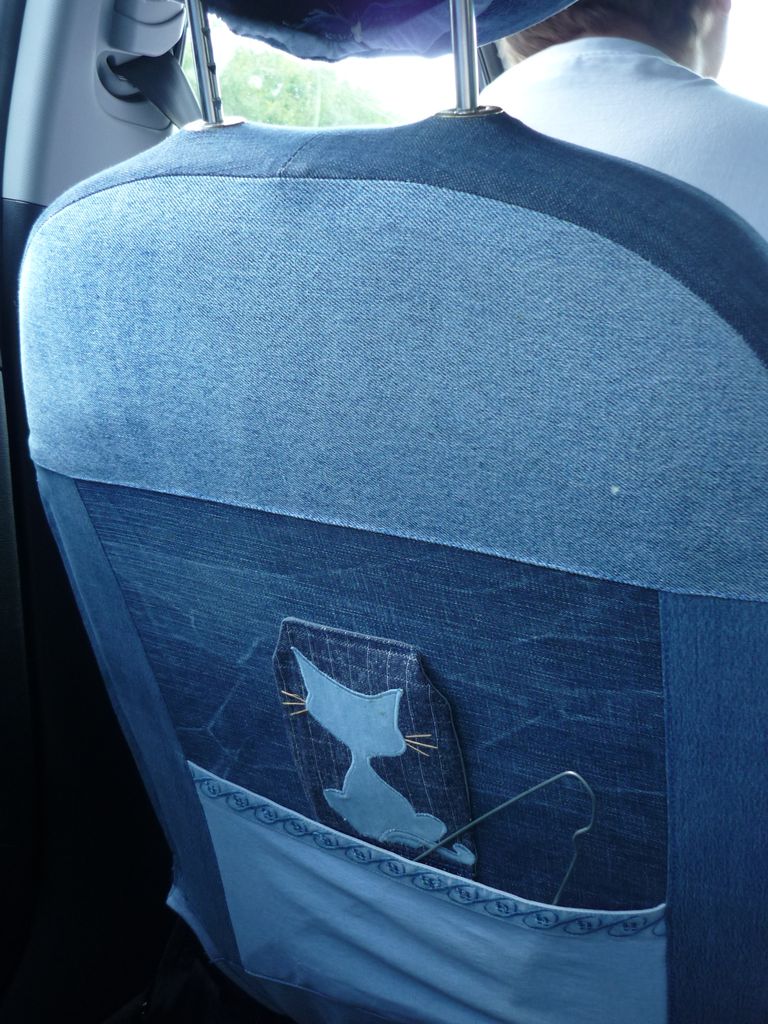 cat car jeans