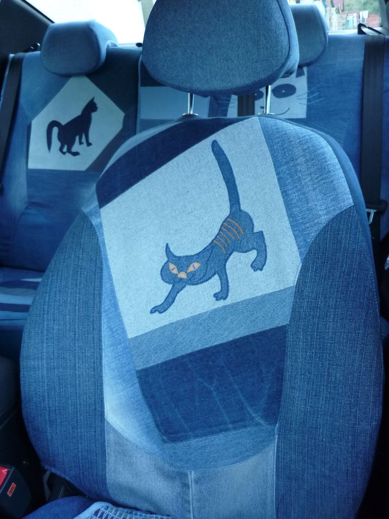 cat car jeans