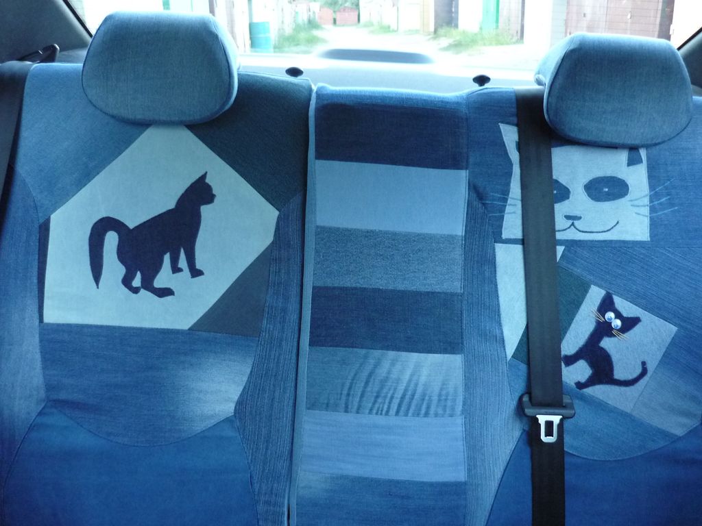 cat car jeans