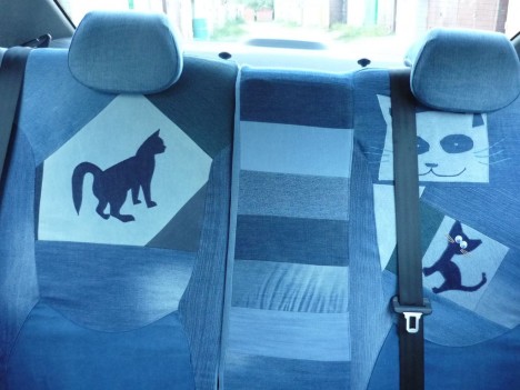 cat-car-jeans-7