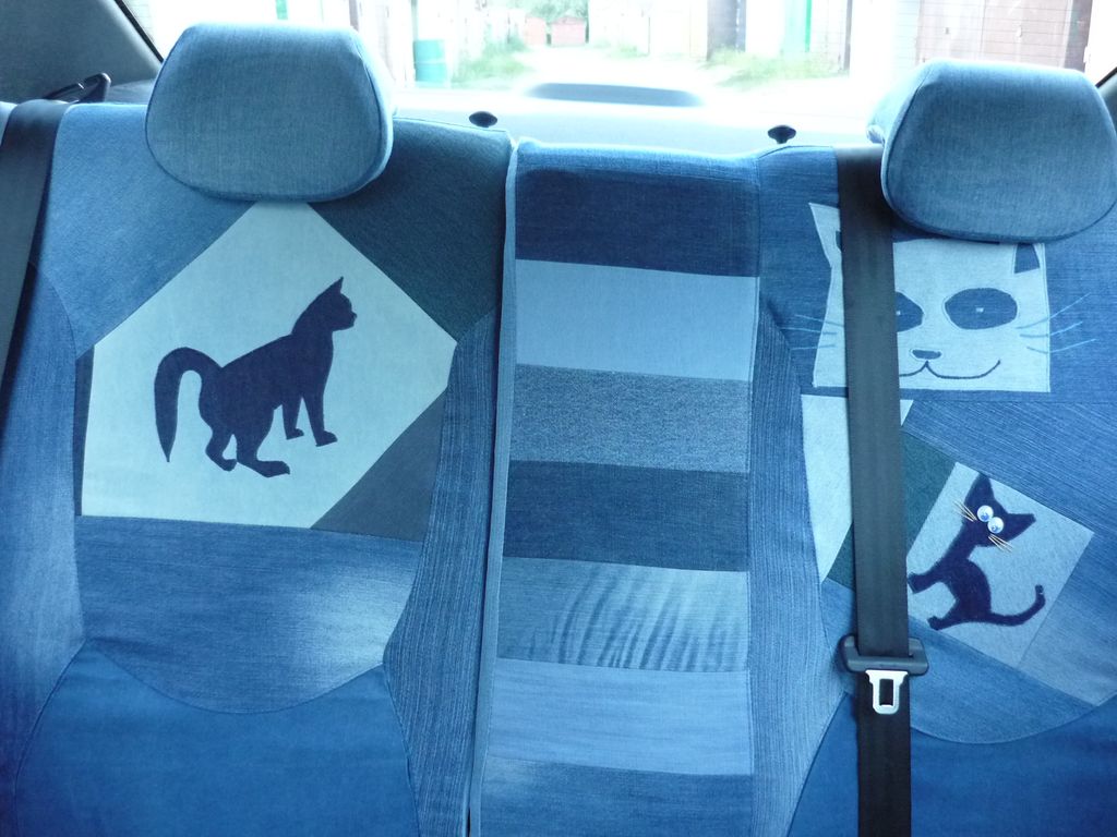 cat car jeans