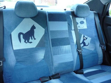 cat-car-jeans-8