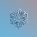 AlexeyKljatov3 150x150 - Макро снежинки от Alexey Kljatov