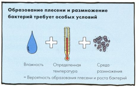 Shema obrazovaniya pleseni 468x300 - Как очистить швы плитки от плесени в ванной?